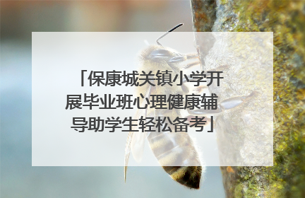 保康城关镇小学开展毕业班心理健康辅导助学生轻松备考