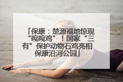 保康：楚源福地惊现“嘎嘎鸡”！国家“三有”保护动物石鸡亮相保康沿河公园