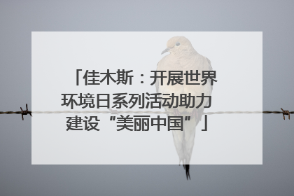 佳木斯：开展世界环境日系列活动助力建设“美丽中国”