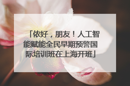 侬好，朋友！人工智能赋能全民早期预警国际培训班在上海开班