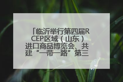 临沂举行第四届RCEP区域（山东）进口商品博览会、共建“一带一路”第三届临沂商城国际采购商大会新闻发布会