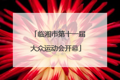 临湘市第十一届大众运动会开幕