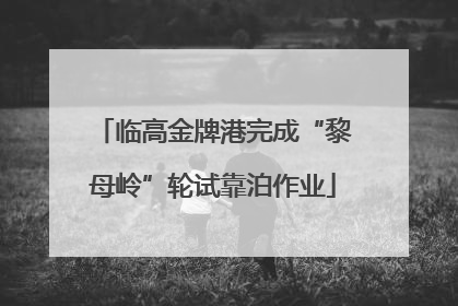 临高金牌港完成“黎母岭”轮试靠泊作业