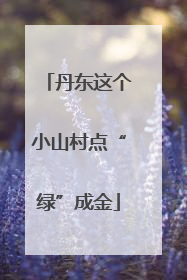 丹东这个小山村点“绿”成金