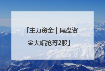 主力资金｜尾盘资金大幅抢筹2股