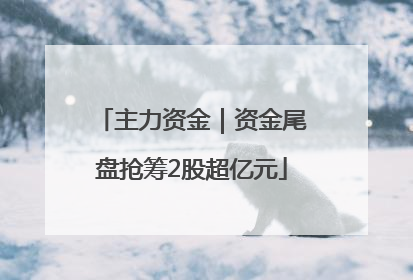 主力资金｜资金尾盘抢筹2股超亿元