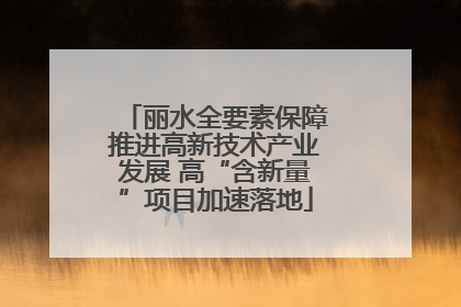 丽水全要素保障推进高新技术产业发展 高“含新量”项目加速落地