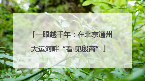 一眼越千年：在北京通州大运河畔“看·见殷商”