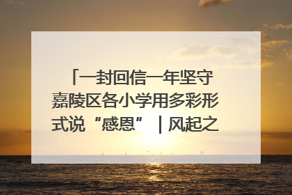一封回信一年坚守 嘉陵区各小学用多彩形式说“感恩”｜风起之江 扶摇直上