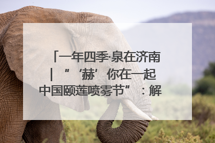 一年四季·泉在济南｜“‘赫’你在一起 中国颐莲喷雾节”：解锁济南夏日消费热潮中的国货新势力