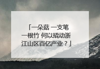 一朵菇 一支笔 一根竹 何以撬动浙江山区百亿产业？