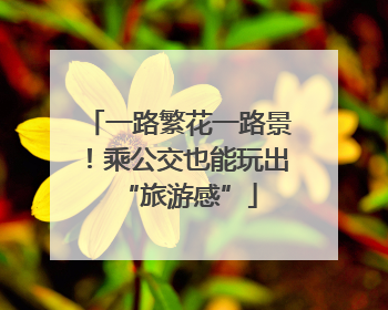 一路繁花一路景！乘公交也能玩出“旅游感”