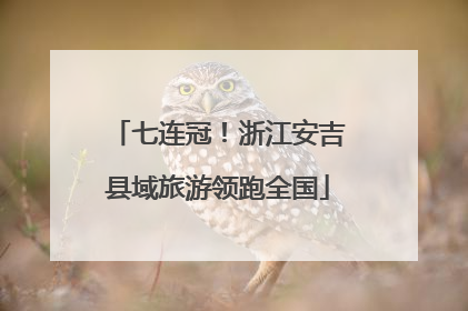 七连冠！浙江安吉县域旅游领跑全国