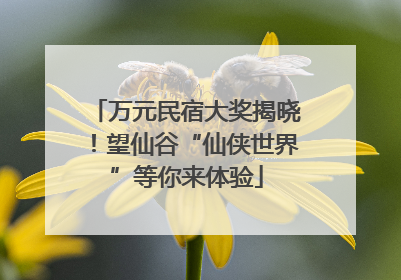 万元民宿大奖揭晓！望仙谷“仙侠世界”等你来体验