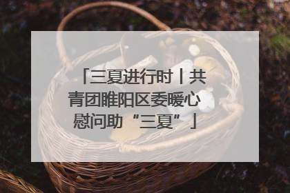 三夏进行时丨共青团睢阳区委暖心慰问助“三夏”