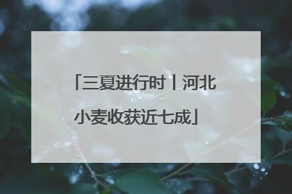 三夏进行时丨河北小麦收获近七成