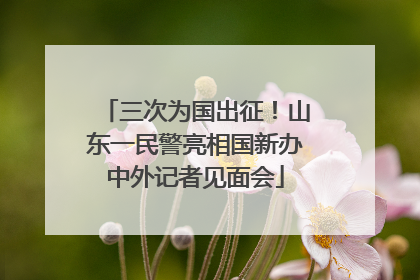 三次为国出征！山东一民警亮相国新办中外记者见面会