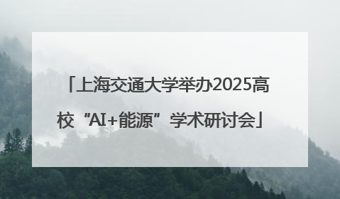 上海交通大学举办2025高校“AI+能源”学术研讨会