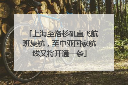 上海至洛杉矶直飞航班复航，至中亚国家航线又将开通一条