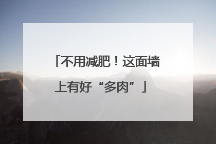 不用减肥！这面墙上有好“多肉”