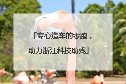 专心造车的零跑，助力浙江科技助残