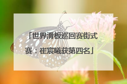世界滑板巡回赛街式赛：崔宸曦获第四名