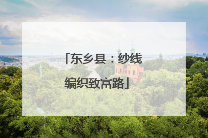 东乡县：纱线编织致富路
