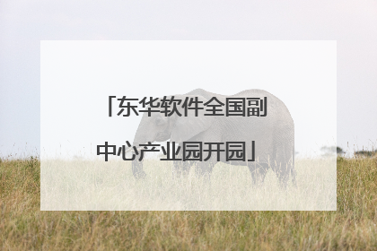 东华软件全国副中心产业园开园
