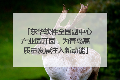 东华软件全国副中心产业园开园，为青岛高质量发展注入新动能