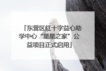 东营区红十字益心助学中心“星星之家”公益项目正式启用