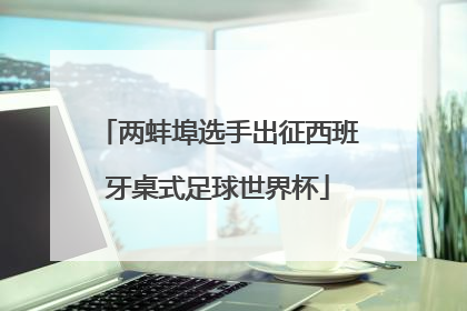 两蚌埠选手出征西班牙桌式足球世界杯