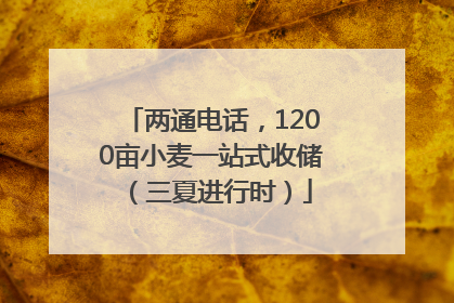 两通电话，1200亩小麦一站式收储（三夏进行时）