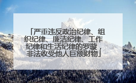 严重违反政治纪律、组织纪律、廉洁纪律、工作纪律和生活纪律的罗璇，非法收受他人巨额财物