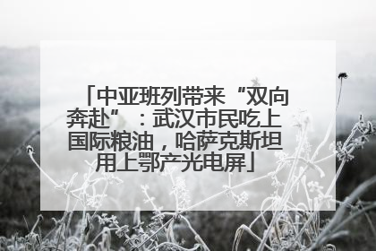 中亚班列带来“双向奔赴”：武汉市民吃上国际粮油，哈萨克斯坦用上鄂产光电屏