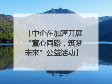 中企在加蓬开展“童心同路，筑梦未来”公益活动