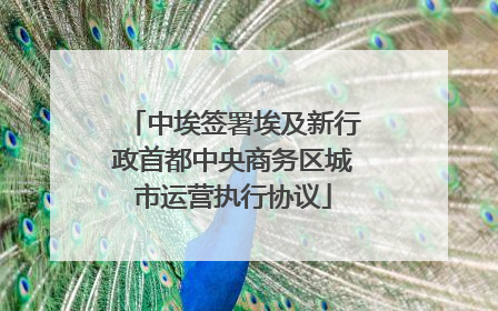 中埃签署埃及新行政首都中央商务区城市运营执行协议