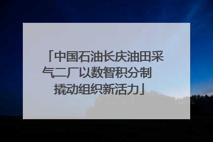 中国石油长庆油田采气二厂以数智积分制 撬动组织新活力