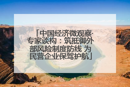 中国经济微观察·专家谈构：筑抵御外部风险制度防线 为民营企业保驾护航