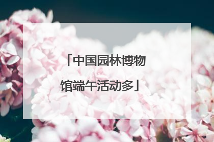 中国园林博物馆端午活动多
