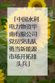 中国水利电力物资华南有限公司党员突击队勇当新能源市场开拓排头兵
