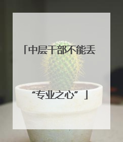 中层干部不能丢“专业之心”
