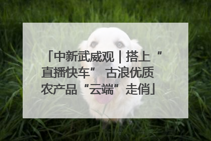 中新武威观｜搭上“直播快车” 古浪优质农产品“云端”走俏