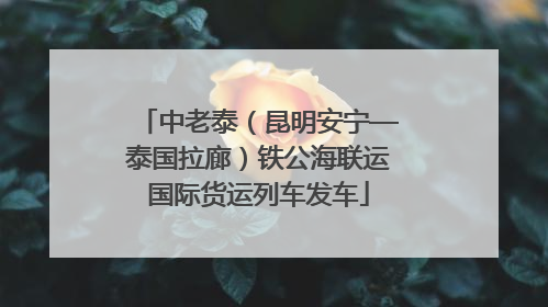 中老泰（昆明安宁—泰国拉廊）铁公海联运国际货运列车发车