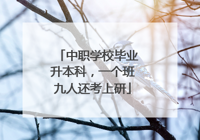中职学校毕业升本科，一个班九人还考上研