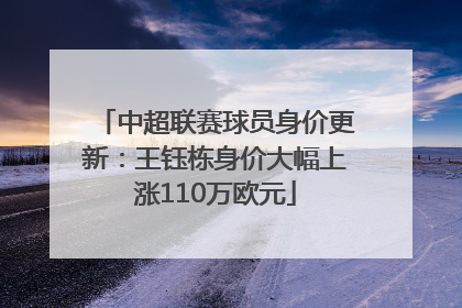 中超联赛球员身价更新：王钰栋身价大幅上涨110万欧元