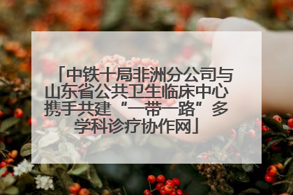 中铁十局非洲分公司与山东省公共卫生临床中心携手共建“一带一路”多学科诊疗协作网
