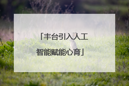 丰台引入人工智能赋能心育