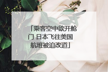 乘客空中欲开舱门 日本飞往美国航班被迫改道