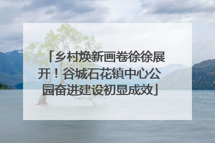 乡村焕新画卷徐徐展开！谷城石花镇中心公园奋进建设初显成效