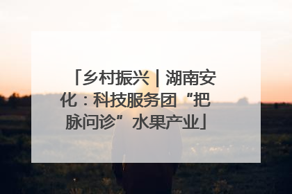 乡村振兴｜湖南安化：科技服务团“把脉问诊”水果产业